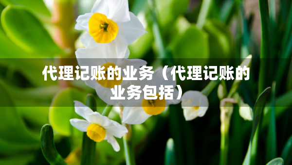 代理記賬的業(yè)務（代理記賬的業(yè)務包括）
