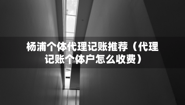 楊浦個體代理記賬推薦（代理記賬個體戶怎么收費）