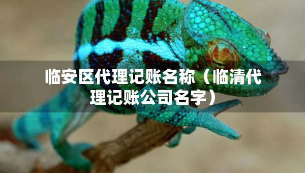 臨安區(qū)代理記賬名稱（臨清代理記賬公司名字）