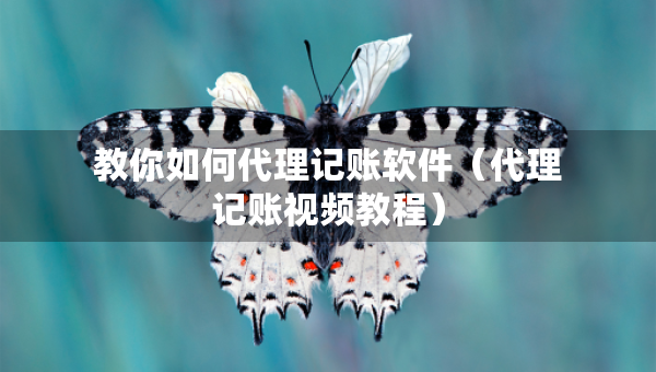 教你如何代理記賬軟件（代理記賬視頻教程）