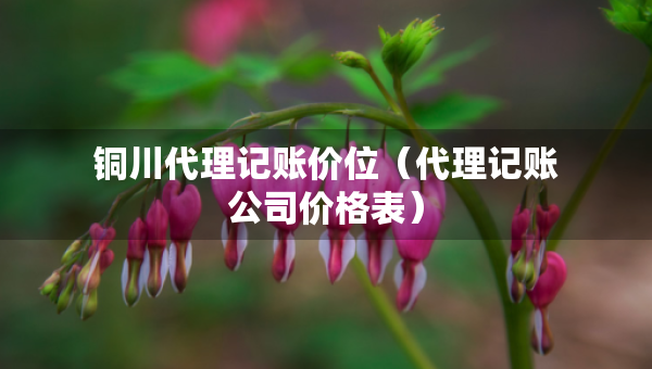 銅川代理記賬價(jià)位（代理記賬公司價(jià)格表）