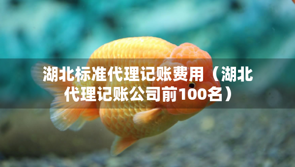 湖北標(biāo)準(zhǔn)代理記賬費(fèi)用（湖北代理記賬公司前100名）