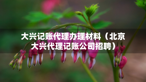大興記賬代理辦理材料（北京大興代理記賬公司招聘）
