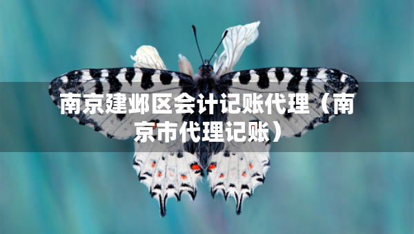 南京建鄴區(qū)會(huì)計(jì)記賬代理（南京市代理記賬）