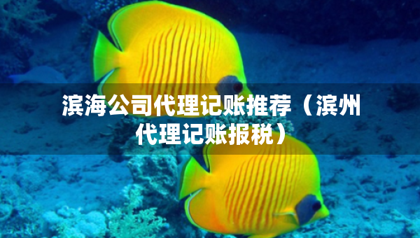 濱海公司代理記賬推薦（濱州代理記賬報(bào)稅）