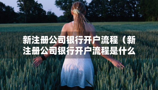 新注冊(cè)公司銀行開戶流程（新注冊(cè)公司銀行開戶流程是什么）