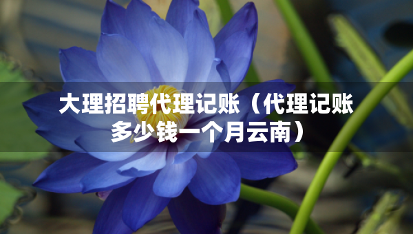 大理招聘代理記賬（代理記賬多少錢一個(gè)月云南）