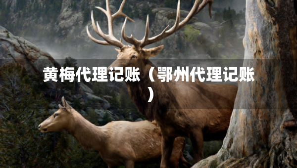 黃梅代理記賬（鄂州代理記賬）