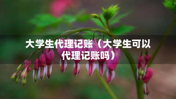 大學(xué)生代理記賬（大學(xué)生可以代理記賬嗎）