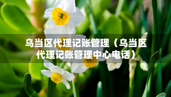 烏當(dāng)區(qū)代理記賬管理（烏當(dāng)區(qū)代理記賬管理中心電話）