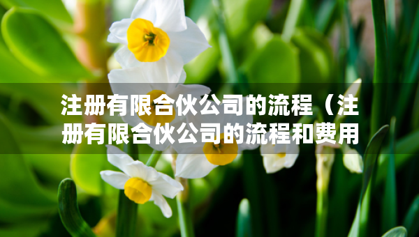 注冊有限合伙公司的流程（注冊有限合伙公司的流程和費用）