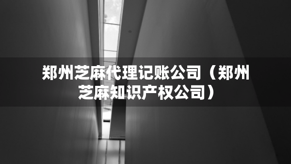 鄭州芝麻代理記賬公司（鄭州芝麻知識(shí)產(chǎn)權(quán)公司）