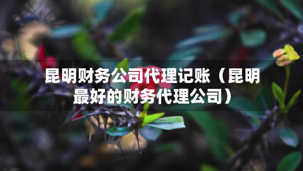 昆明財(cái)務(wù)公司代理記賬（昆明最好的財(cái)務(wù)代理公司）
