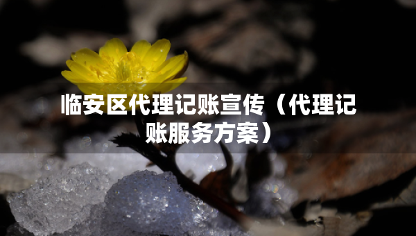 臨安區(qū)代理記賬宣傳（代理記賬服務(wù)方案）