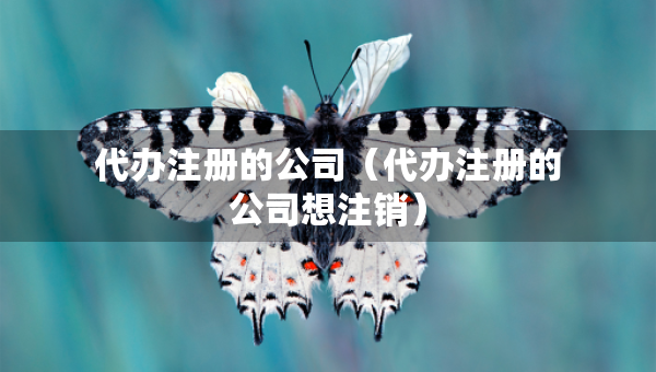 代辦注冊的公司（代辦注冊的公司想注銷）