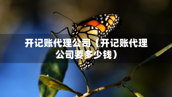 開記賬代理公司（開記賬代理公司要多少錢）