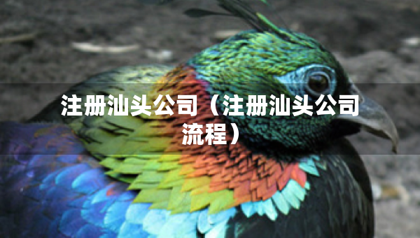 注冊汕頭公司（注冊汕頭公司流程）