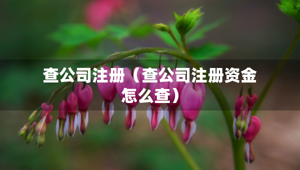 查公司注冊(cè)（查公司注冊(cè)資金怎么查）