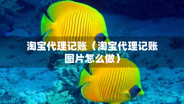 淘寶代理記賬（淘寶代理記賬圖片怎么做）
