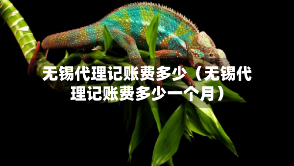 無(wú)錫代理記賬費(fèi)多少（無(wú)錫代理記賬費(fèi)多少一個(gè)月）