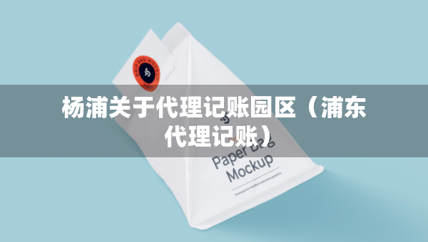 楊浦關(guān)于代理記賬園區(qū)（浦東 代理記賬）