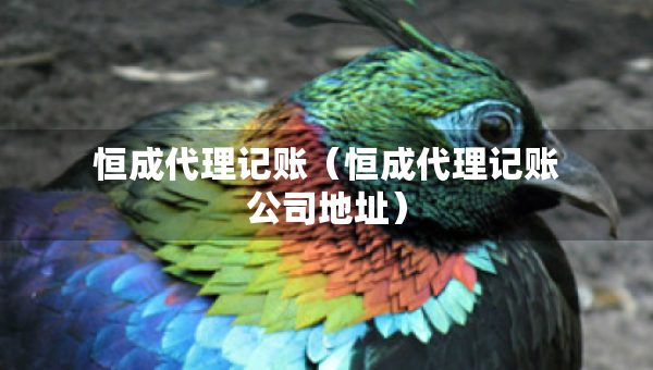 恒成代理記賬（恒成代理記賬公司地址）