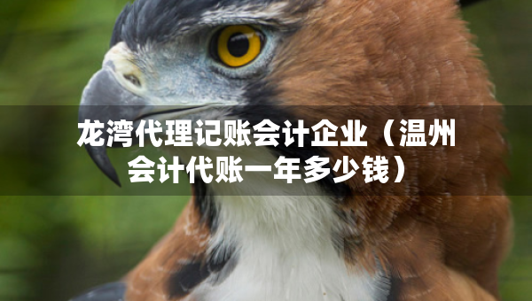 龍灣代理記賬會計(jì)企業(yè)（溫州會計(jì)代賬一年多少錢）