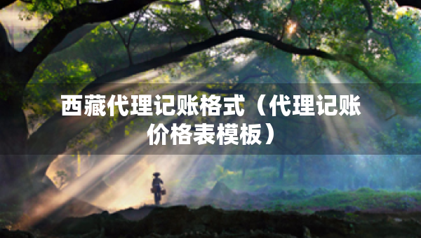 西藏代理記賬格式（代理記賬價格表模板）