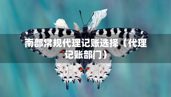 南部常規(guī)代理記賬選擇（代理記賬部門）