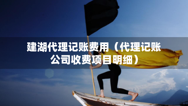 建湖代理記賬費用（代理記賬公司收費項目明細）