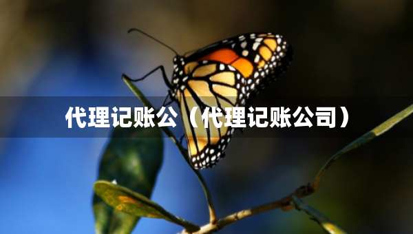 代理記賬公（代理記賬公司）