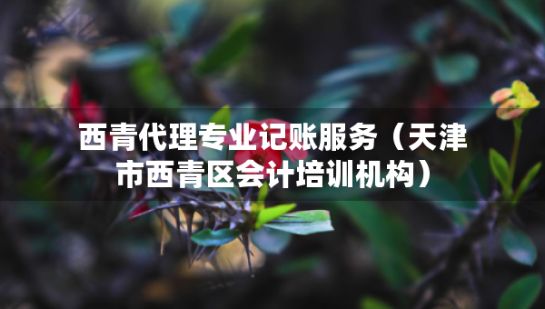西青代理專(zhuān)業(yè)記賬服務(wù)（天津市西青區(qū)會(huì)計(jì)培訓(xùn)機(jī)構(gòu)）