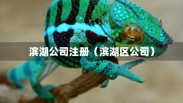 濱湖公司注冊(cè)（濱湖區(qū)公司）
