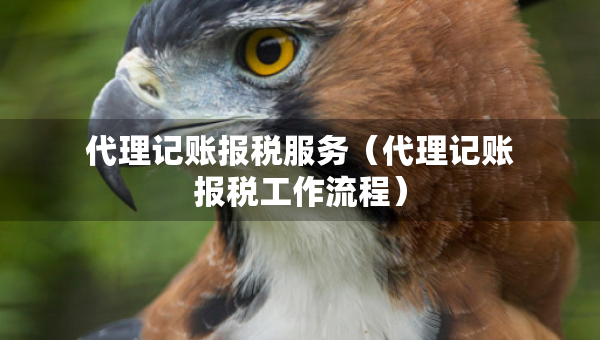 代理記賬報(bào)稅服務(wù)（代理記賬報(bào)稅工作流程）