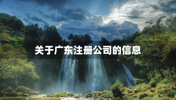 關(guān)于廣東注冊(cè)公司的信息