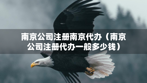 南京公司注冊南京代辦（南京公司注冊代辦一般多少錢）