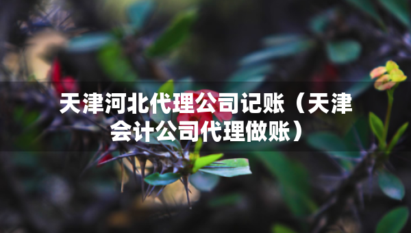 天津河北代理公司記賬（天津會計(jì)公司代理做賬）