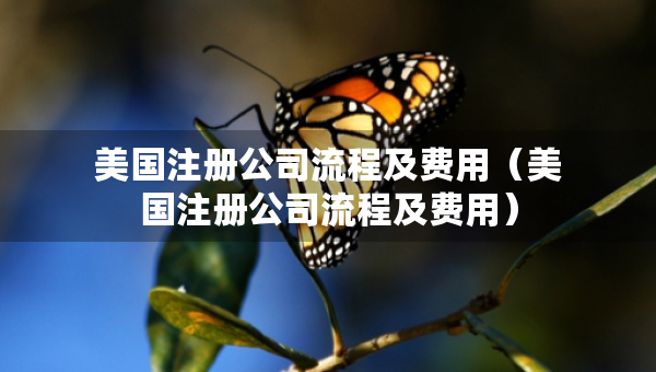 美國(guó)注冊(cè)公司流程及費(fèi)用（美國(guó)注冊(cè)公司流程及費(fèi)用）
