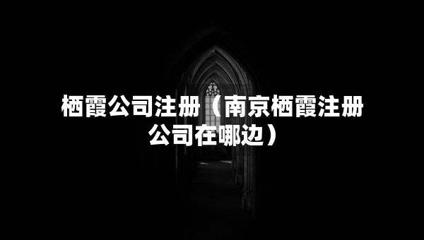 棲霞公司注冊(cè)（南京棲霞注冊(cè)公司在哪邊）