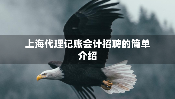 上海代理記賬會計招聘的簡單介紹