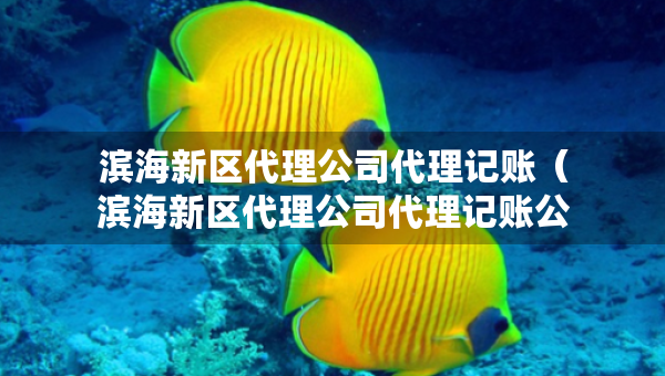 濱海新區(qū)代理公司代理記賬（濱海新區(qū)代理公司代理記賬公司電話）