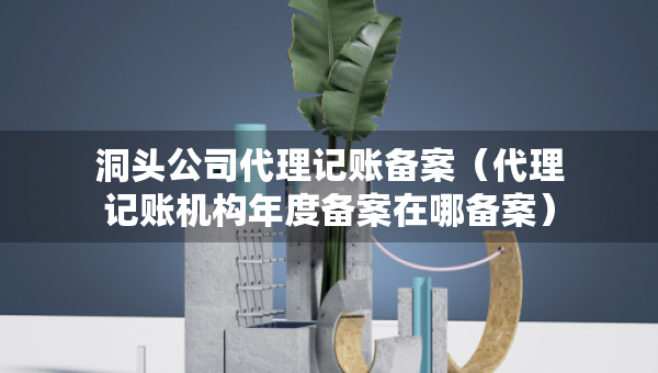 洞頭公司代理記賬備案（代理記賬機構(gòu)年度備案在哪備案）