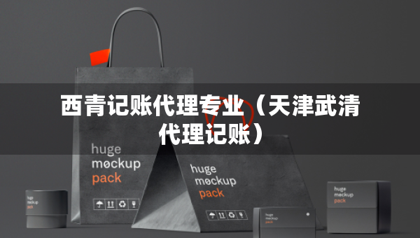 西青記賬代理專業(yè)（天津武清代理記賬）