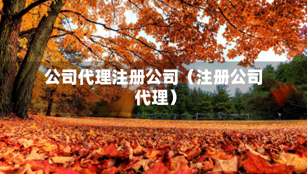 公司代理注冊(cè)公司（注冊(cè)公司 代理）