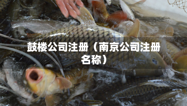 鼓樓公司注冊（南京公司注冊名稱）