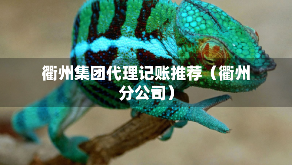 衢州集團(tuán)代理記賬推薦（衢州分公司）