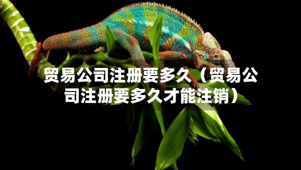 貿(mào)易公司注冊(cè)要多久（貿(mào)易公司注冊(cè)要多久才能注銷）