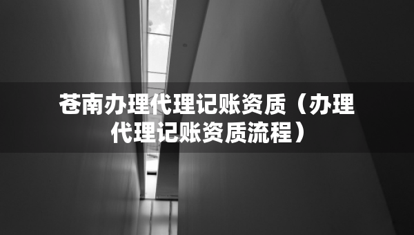 蒼南辦理代理記賬資質(zhì)（辦理代理記賬資質(zhì)流程）