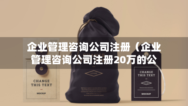 企業(yè)管理咨詢公司注冊（企業(yè)管理咨詢公司注冊20萬的公司算小公司嗎）