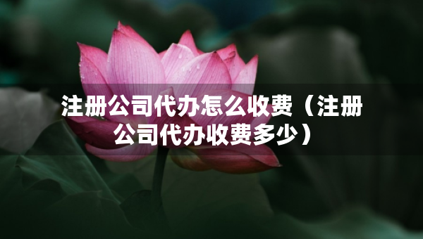 注冊公司代辦怎么收費（注冊公司代辦收費多少）